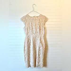 Jessakae Cream Eyelet Lace Sheath Dress Size Medium